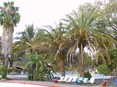 Chapala, près de la Malécon