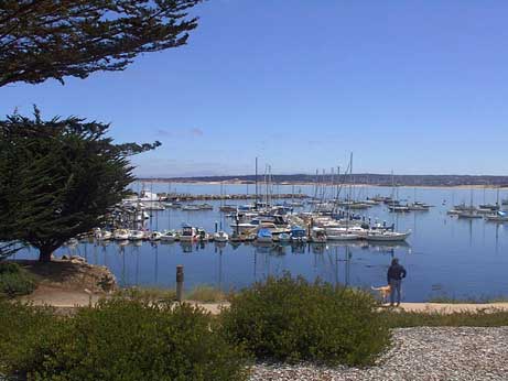 La marina de Monterey